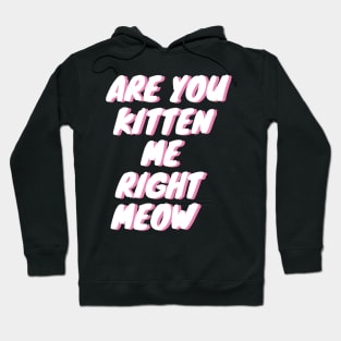 Are You Kitten Me Right Meow Hoodie